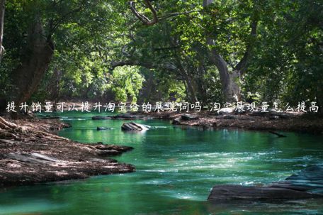 提升銷(xiāo)量可以提升淘寶給的展現(xiàn)詞嗎-淘寶展現(xiàn)量怎么提高